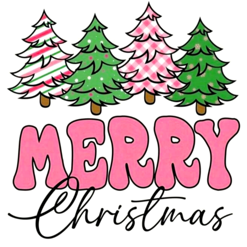 Reserved Mystery Christmas box bundle.